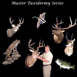 The Complete Master Taxidermy Course Library