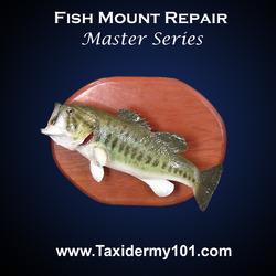 Old Fish Repair