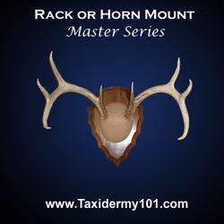 Rack or Horn Mount