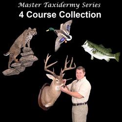 4 Video Course Set